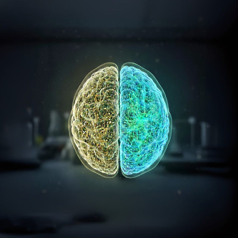 La ciencia para un cerebro funcionalmente más joven con magnesio L-Treonato