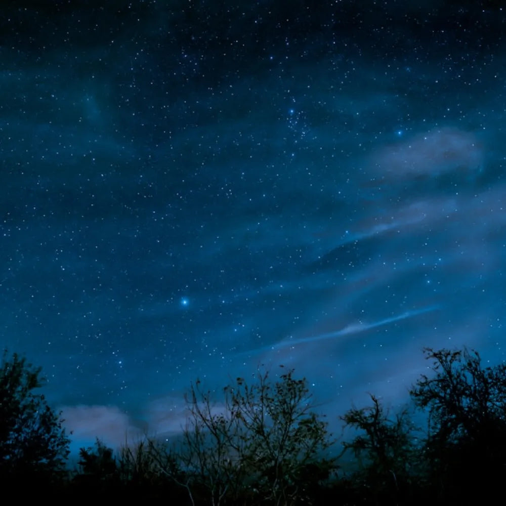 Cielo nocturno estrellado con silueta de árboles en tonos azulados, representando la calma y oscuridad ideales para conciliar el sueño.